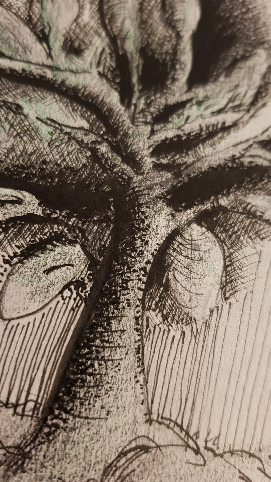 Baum